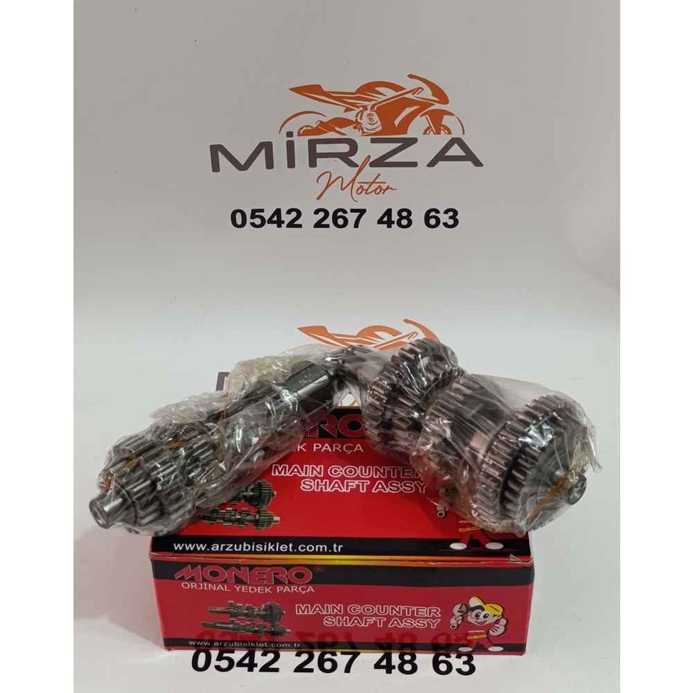 MONERO ŞANZIMAN 51005