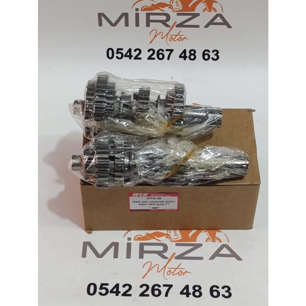 ŞANZIMAN ASYA/KUBA ÇITA 12 DİŞ MTS