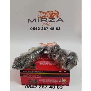MONERO ŞANZIMAN 51005