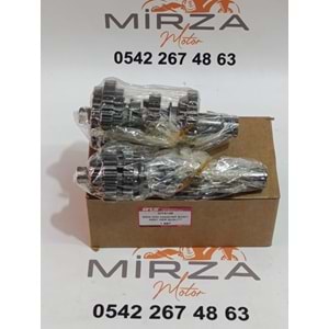 ŞANZIMAN ASYA/KUBA ÇITA 12 DİŞ MTS